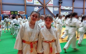 les benjamines