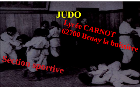 Section sportive judo lycée Carnot